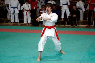 seibukan_Shotokan_Cup_2010_005.jpg