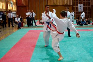 seibukan_Shotokan_Cup_2010_060.jpg