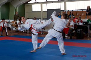 seibukan_Shotokan_OEM_2016_057.jpg