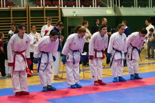 seibukan_Styrian_Open_Fuerstenfeld_2013_054.jpg