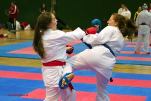 seibukan_Styrian_Open_Fuerstenfeld_2013_077.jpg