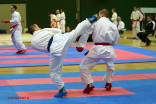 seibukan_Styrian_Open_Fuerstenfeld_2013_080.jpg