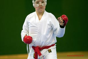 seibukan_Styrian_Open_Fuerstenfeld_2014_036.jpg