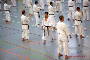 seibukan_3_Int_Karate_Sommercamp_Ravensburg_2015_033.jpg