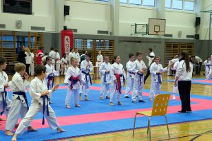 seibukan_Askoe_OOEKarate_Landesmeisterschaft_2013_002.jpg