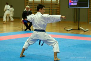 seibukan_Askoe_OOEKarate_Landesmeisterschaft_2013_070.jpg