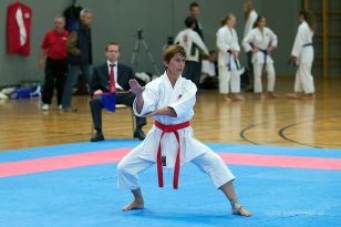 seibukan_Askoe_OOEKarate_Landesmeisterschaft_2013_111.jpg