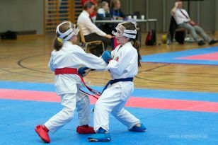 seibukan_Askoe_OOEKarate_Landesmeisterschaft_2013_139.jpg