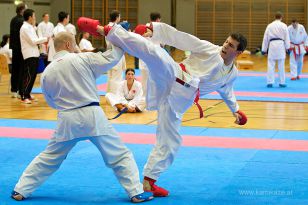 seibukan_Askoe_OOEKarate_Landesmeisterschaft_2013_195.jpg