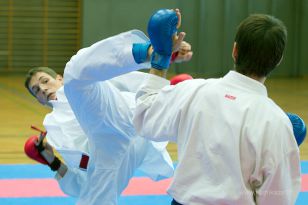 seibukan_Askoe_OOEKarate_Landesmeisterschaft_2013_197.jpg