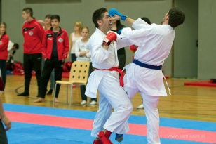 seibukan_Askoe_OOEKarate_Landesmeisterschaft_2013_201.jpg