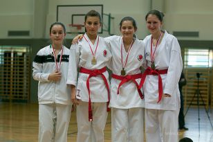 seibukan_Askoe_OOEKarate_Landesmeisterschaft_2013_219.jpg