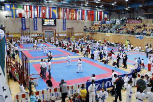 seibukan_Austrian_Junior_Open_2010_009.jpg