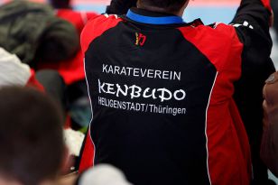 seibukan_Austrian_Karate_Champions_Cup_2010_034.jpg