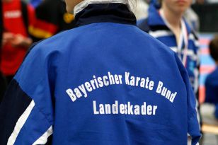 seibukan_Austrian_Karate_Champions_Cup_2010_036.jpg