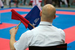 seibukan_Austrian_Karate_Championscup_2015_133.jpg