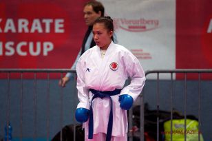 seibukan_Austrian_Karate_Championscup_2015_166.jpg