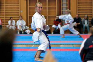 seibukan_Austrian_Open_Golden_League_2009_016.jpg