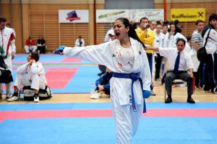 seibukan_Austrian_Open_Golden_League_2009_017.jpg