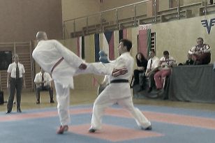 seibukan_EGKF_Senior_Goju_Ryu_Championships_2013_010.jpg