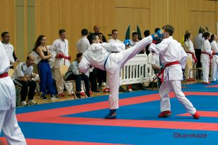 seibukan_Junior_Open_2016_088.jpg