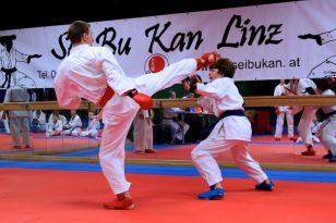 seibukan_KARATE_ein_Sport_fuer_Alt_und_Jung_2012_010.jpg