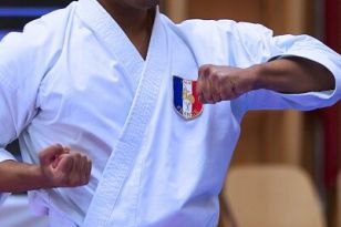 seibukan_Karate1_Premier_League_and_Youth_World Cup_Salzburg_2013_021.jpg