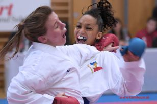 seibukan_Karate1_Premier_League_and_Youth_World Cup_Salzburg_2013_165.jpg