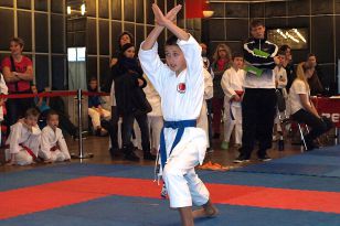 seibukan_Karate_Kids_Cup_Budweis_2014_000.jpg