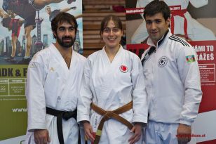 seibukan_Lehrgang_mit_Rafael_Aghayev_2013_135.jpg