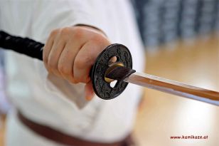 seibukan_Oesterr_Shotokan_Meisterschaft_StGeorgen_2012_006.jpg