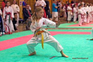 seibukan_Oesterr_Shotokan_Meisterschaft_StGeorgen_2012_013.jpg