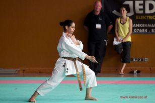 seibukan_Oesterr_Shotokan_Meisterschaft_StGeorgen_2014_076.jpg