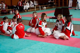 seibukan_Shotokan_Cup_2010_030.jpg