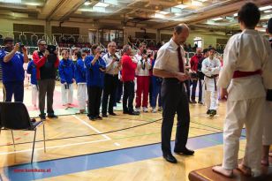 seibukan_Styrian_Open_Fuerstenfeld_2013_040.jpg