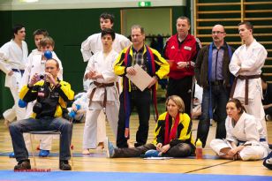 seibukan_Styrian_Open_Fuerstenfeld_2013_065.jpg