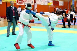 seibukan_VIII_Oesterr_Goju_Ryu_Wado_Ryu_Meisterschaft_2010_034.jpg