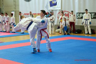 seibukan_WADO_KAI_Europameisterschaft_2012_091.jpg