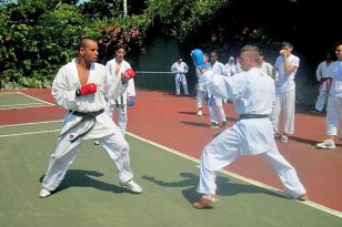 seibukan_WKF_Youth_World_Cup_Korfu_2012_012.jpg