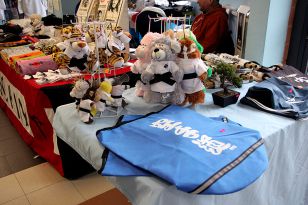 seibukan_World_Karate_Championship_italien_2016_059.jpg