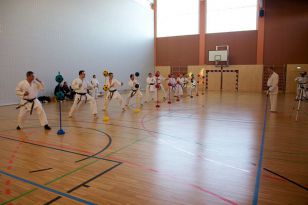 seibukan_Zwei_neue_Karate_Instruktoren _2015_012.jpg