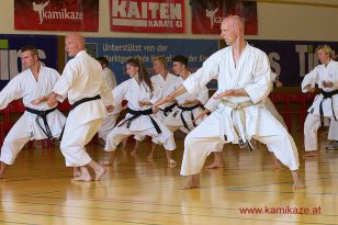 seibukan7_Internationales_Kamikaze_Sommercamp_2015_165.jpg