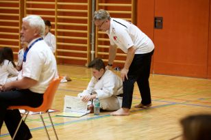 seibukan_Askoe_Landesmeisterschaft_in_Linz_Kirchdorf_2015_237.jpg