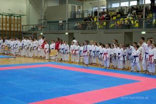 seibukan_Askoe_OOEKarate_Landesmeisterschaft_2013_004.jpg