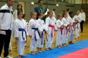 seibukan_Askoe_OOEKarate_Landesmeisterschaft_2013_023.jpg