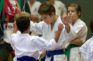 seibukan_Askoe_OOEKarate_Landesmeisterschaft_2013_028.jpg