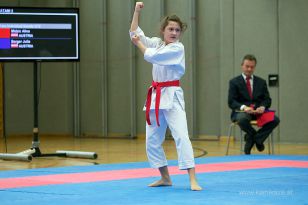 seibukan_Askoe_OOEKarate_Landesmeisterschaft_2013_046.jpg