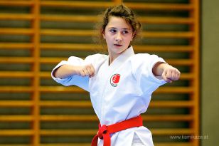 seibukan_Askoe_OOEKarate_Landesmeisterschaft_2013_048.jpg