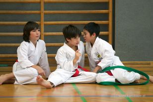 seibukan_Askoe_OOEKarate_Landesmeisterschaft_2013_077.jpg