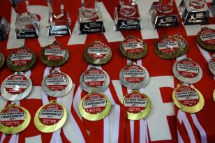 seibukan_Austrian_Champions_Cup_2011_011.jpg